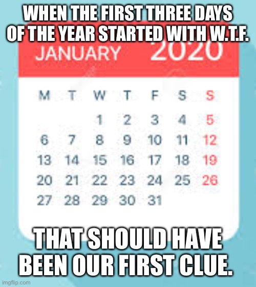 Wondering why 2020 was so jacked up? | WHEN THE FIRST THREE DAYS OF THE YEAR STARTED WITH W.T.F. THAT SHOULD HAVE BEEN OUR FIRST CLUE. | image tagged in january 2020 calendar,wtf,2020 sucks | made w/ Imgflip meme maker
