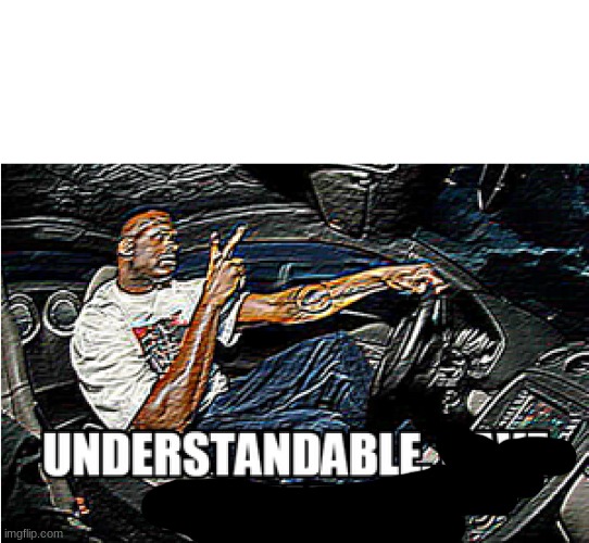 UNDERSTANDABLE, HAVE A GREAT DAY | image tagged in understandable have a great day | made w/ Imgflip meme maker