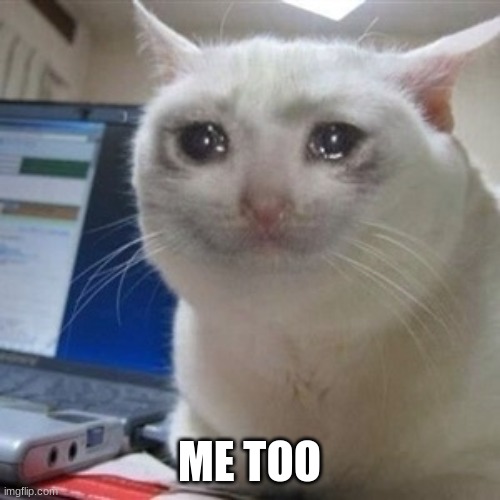 Crying cat | ME TOO | image tagged in crying cat | made w/ Imgflip meme maker
