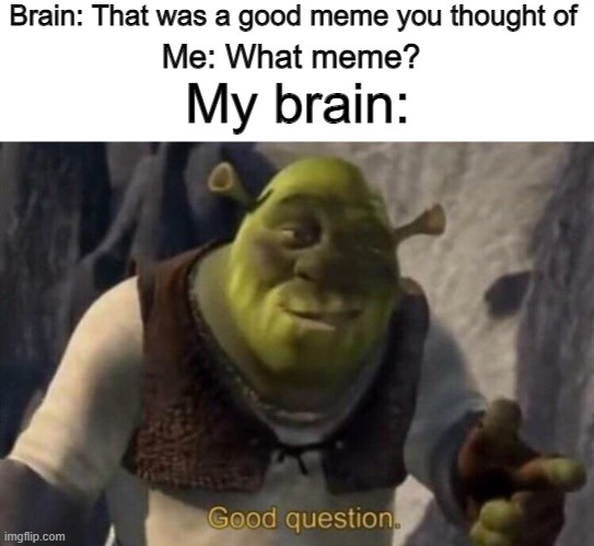 It always happens at night | Brain: That was a good meme you thought of; Me: What meme? My brain: | image tagged in shrek good question | made w/ Imgflip meme maker