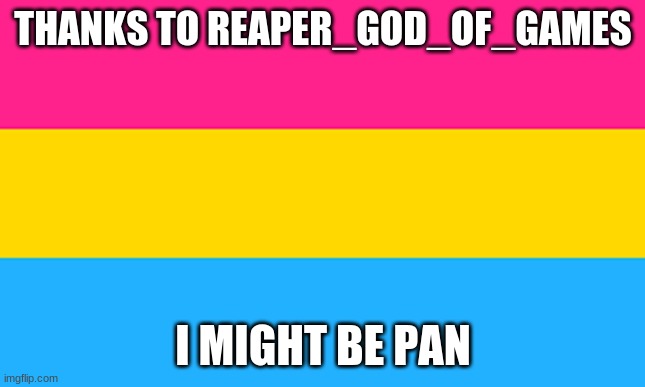 probably or idk if you can be two different sexualitys | THANKS TO REAPER_GOD_OF_GAMES; I MIGHT BE PAN | image tagged in pan flag | made w/ Imgflip meme maker