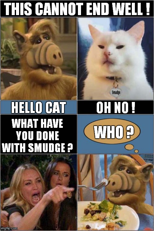 Woman Yelling At Alf  About Smudge ! | THIS CANNOT END WELL ! HELLO CAT; OH NO ! WHAT HAVE YOU DONE WITH SMUDGE ? WHO ? | image tagged in woman yelling at cat,alf,smudge the cat | made w/ Imgflip meme maker