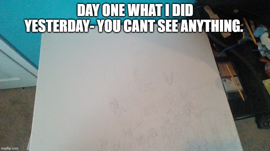 DAY ONE WHAT I DID YESTERDAY- YOU CANT SEE ANYTHING. | made w/ Imgflip meme maker