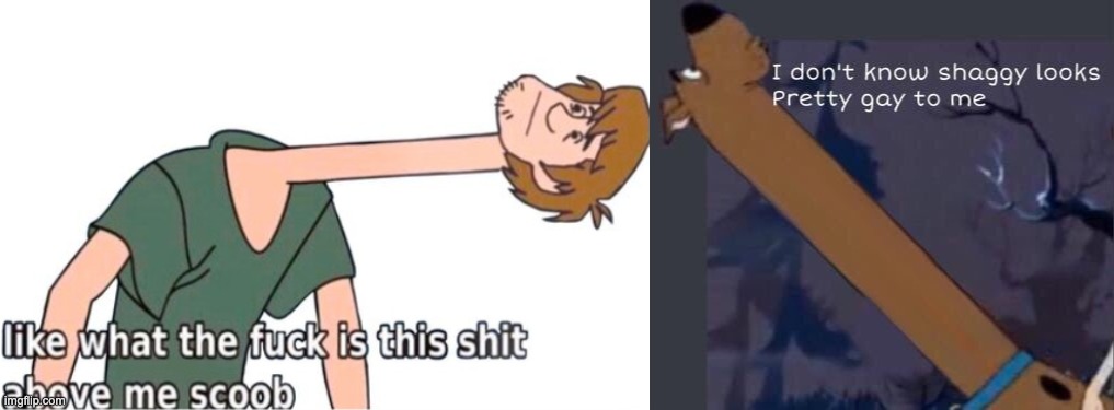image tagged in what is this shit above me scoob,i dont know shaggy looks pretty gay to me | made w/ Imgflip meme maker