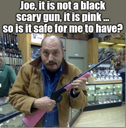 So is it really the color that makes it scary to you? | Joe, it is not a black scary gun, it is pink ... so is it safe for me to have? | image tagged in gun control,2nd amendment | made w/ Imgflip meme maker