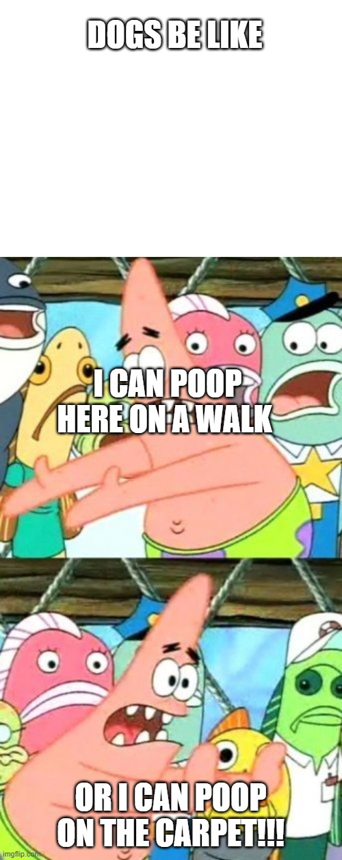 DOGS BE LIKE; I CAN POOP HERE ON A WALK; OR I CAN POOP ON THE CARPET!!! | image tagged in blank white template,memes,put it somewhere else patrick | made w/ Imgflip meme maker