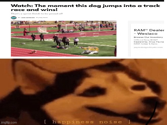 he is not a good boy he was the B E S T   B O Y | image tagged in dog wins race | made w/ Imgflip meme maker