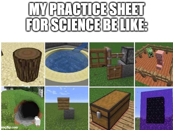 ? | MY PRACTICE SHEET FOR SCIENCE BE LIKE: | image tagged in minecraft,school meme,science | made w/ Imgflip meme maker