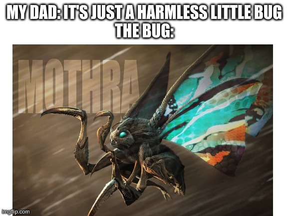 Yes | MY DAD: IT'S JUST A HARMLESS LITTLE BUG
THE BUG: | image tagged in godzilla,mothra,monster | made w/ Imgflip meme maker