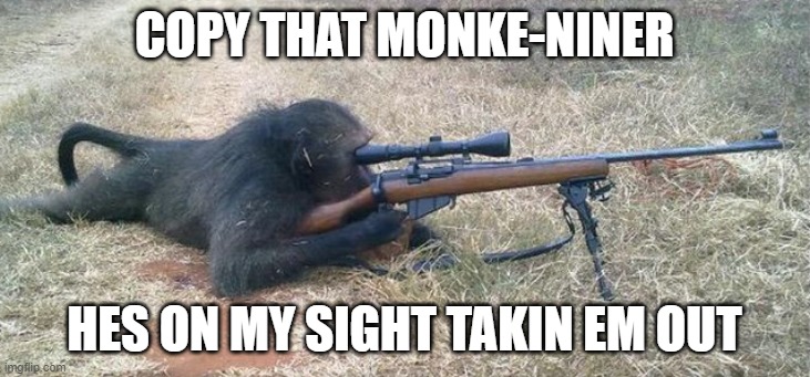 monke | COPY THAT MONKE-NINER; HES ON MY SIGHT TAKIN EM OUT | image tagged in sniper monkey | made w/ Imgflip meme maker