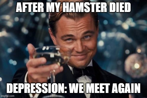 I don't know- | AFTER MY HAMSTER DIED; DEPRESSION: WE MEET AGAIN | image tagged in memes,leonardo dicaprio cheers | made w/ Imgflip meme maker
