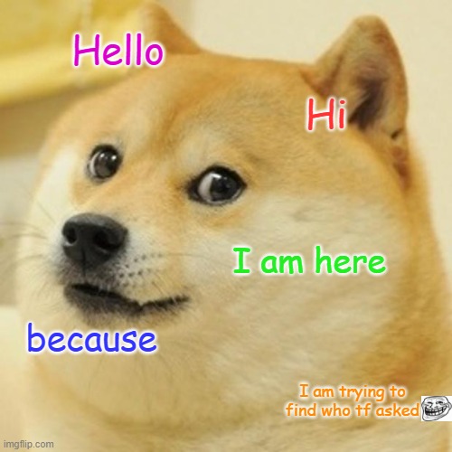 Doge | Hello; Hi; I am here; because; I am trying to find who tf asked | image tagged in memes,doge | made w/ Imgflip meme maker