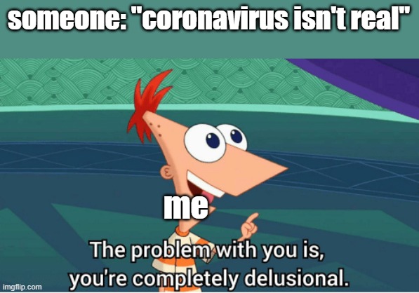 the problem with you is you're completely delusional | someone: "coronavirus isn't real"; me | image tagged in the problem with you is you're completely delusional | made w/ Imgflip meme maker