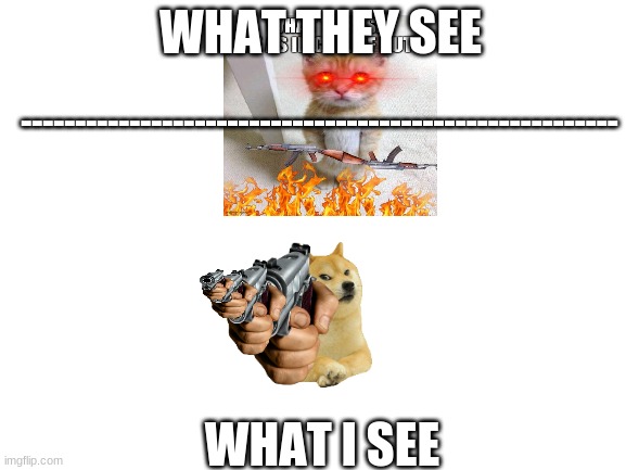 what they see vs what i see | WHAT THEY SEE; -------------------------------------------------------; WHAT I SEE | image tagged in doge and cat,meme | made w/ Imgflip meme maker