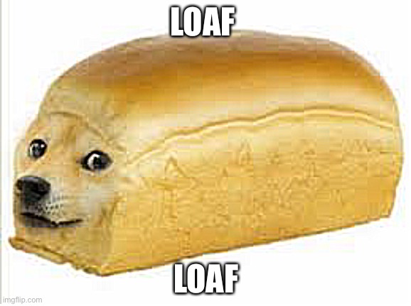Loaf | LOAF; LOAF | image tagged in doge bread | made w/ Imgflip meme maker
