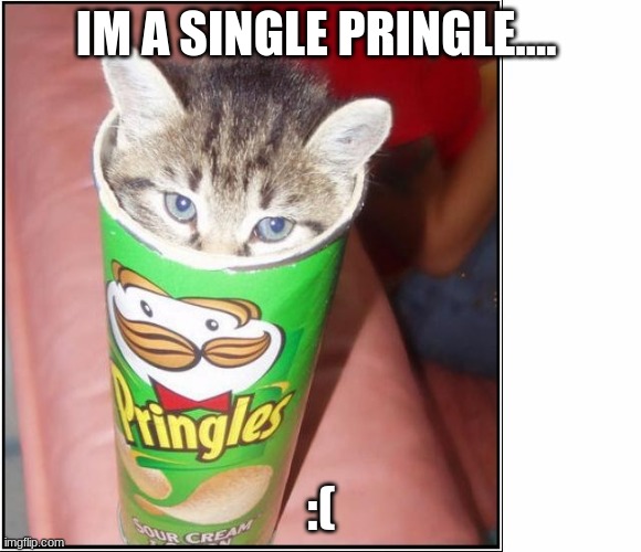 Cat pringles  | IM A SINGLE PRINGLE.... :( | image tagged in cat pringles | made w/ Imgflip meme maker