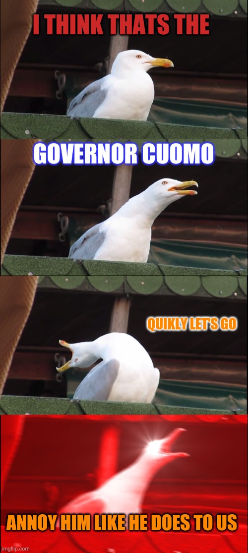 memes about governor cuomo | I THINK THATS THE; GOVERNOR CUOMO; QUIKLY LET'S GO; ANNOY HIM LIKE HE DOES TO US | image tagged in memes,inhaling seagull | made w/ Imgflip meme maker