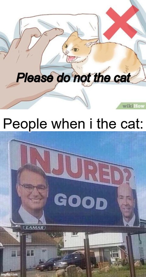  People when i the cat: | image tagged in memes,just why | made w/ Imgflip meme maker