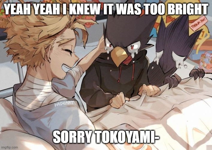 Sorry dude- | YEAH YEAH I KNEW IT WAS TOO BRIGHT; SORRY TOKOYAMI- | image tagged in mha,anime | made w/ Imgflip meme maker