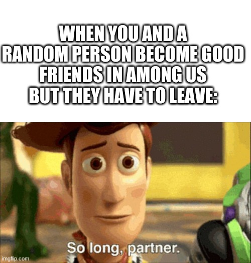 WHEN YOU AND A RANDOM PERSON BECOME GOOD FRIENDS IN AMONG US BUT THEY HAVE TO LEAVE: | image tagged in blank white template,so long partner | made w/ Imgflip meme maker