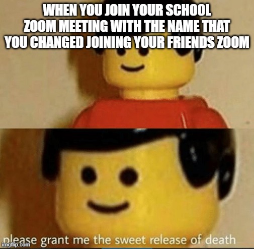 Sweet Release | WHEN YOU JOIN YOUR SCHOOL ZOOM MEETING WITH THE NAME THAT YOU CHANGED JOINING YOUR FRIENDS ZOOM | image tagged in sweet release | made w/ Imgflip meme maker