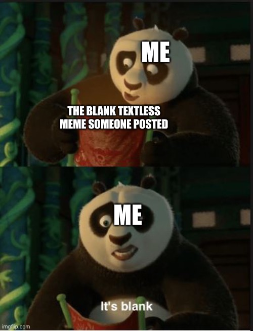 Its Blank | THE BLANK TEXTLESS MEME SOMEONE POSTED ME ME | image tagged in its blank | made w/ Imgflip meme maker