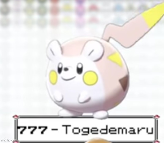 Shiny Togedemaru | image tagged in shiny togedemaru | made w/ Imgflip meme maker