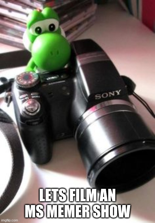 Its Okay If You Say No, I Don't Really Care | LETS FILM AN MS MEMER SHOW | made w/ Imgflip meme maker