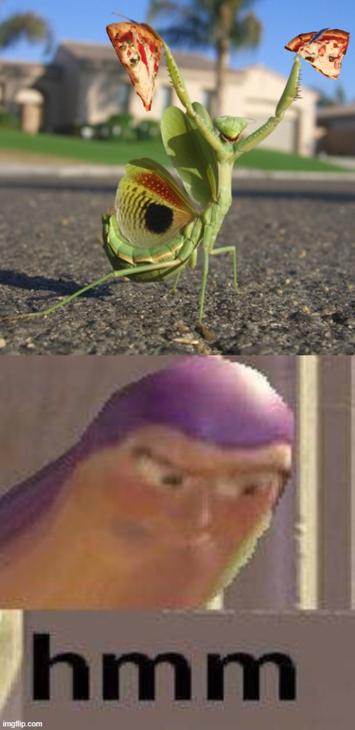 Pizza mantis | image tagged in praying mantis pizza,buzz lightyear hmm | made w/ Imgflip meme maker