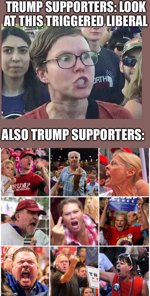 Triggered Trump supporters | TRUMP SUPPORTERS: LOOK AT THIS TRIGGERED LIBERAL; ALSO TRUMP SUPPORTERS: | image tagged in triggered trump supporters | made w/ Imgflip meme maker