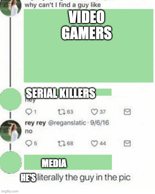 Literally the guy in the pic | VIDEO GAMERS; SERIAL KILLERS; MEDIA; HE'S | image tagged in literally the guy in the pic | made w/ Imgflip meme maker