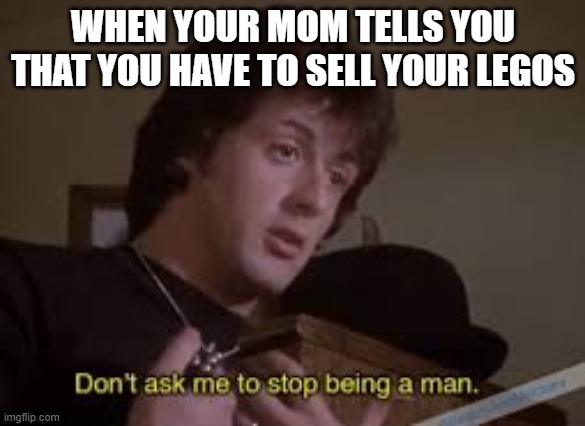 Lego | WHEN YOUR MOM TELLS YOU THAT YOU HAVE TO SELL YOUR LEGOS | image tagged in don't ask me to stop being a man | made w/ Imgflip meme maker