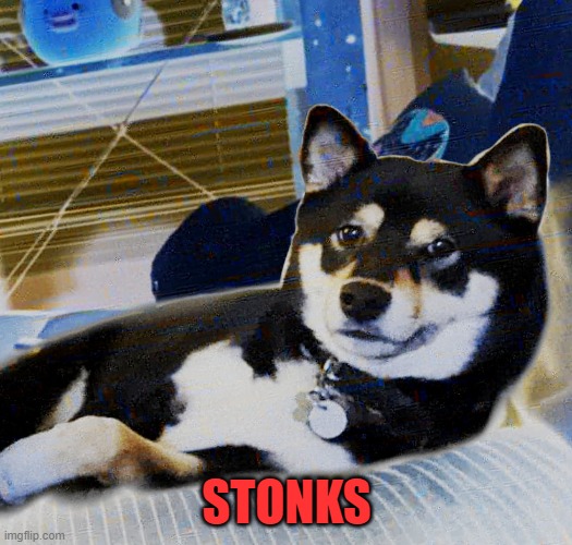 Stonks Doge | STONKS | image tagged in stonks doge | made w/ Imgflip meme maker