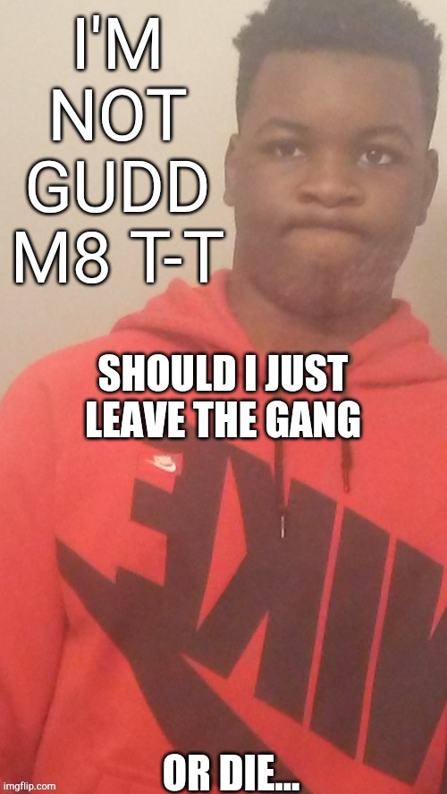 Im not gudd m8 T-T | SHOULD I JUST LEAVE THE GANG; OR DIE... | image tagged in im not gudd m8 t-t | made w/ Imgflip meme maker