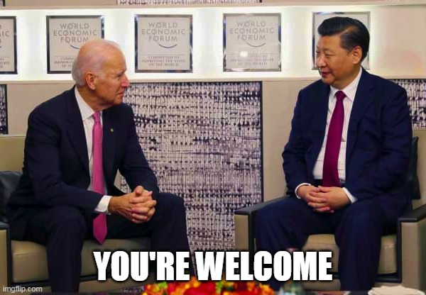 biden and xi | YOU'RE WELCOME | image tagged in biden and xi | made w/ Imgflip meme maker