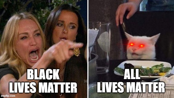 brett e metcalf | BLACK LIVES MATTER; ALL LIVES MATTER | image tagged in angry lady cat | made w/ Imgflip meme maker