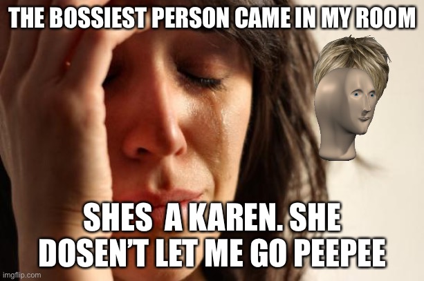 Karen-person | THE BOSSIEST PERSON CAME IN MY ROOM; SHES  A KAREN. SHE DOSEN’T LET ME GO PEEPEE | image tagged in memes,first world problems | made w/ Imgflip meme maker