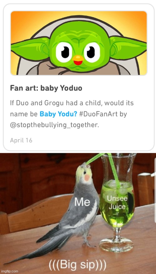 No No No No No No Yoduo | image tagged in unsee juice,memes,the mandalorian,baby yoda,duolingo,duolingo bird | made w/ Imgflip meme maker