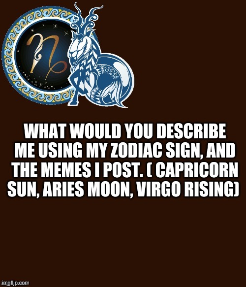 e | WHAT WOULD YOU DESCRIBE ME USING MY ZODIAC SIGN, AND THE MEMES I POST. ( CAPRICORN SUN, ARIES MOON, VIRGO RISING) | image tagged in capricorn template | made w/ Imgflip meme maker