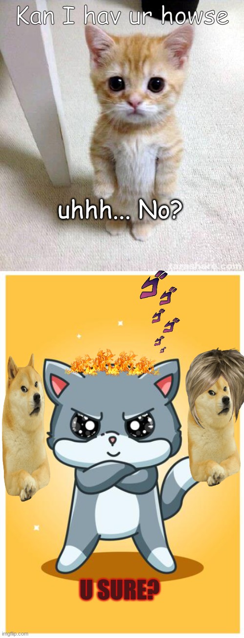 Karen cat | Kan I hav ur howse; uhhh... No? U SURE? | image tagged in memes,cute cat | made w/ Imgflip meme maker
