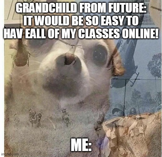 PTSD Chihuahua | GRANDCHILD FROM FUTURE: IT WOULD BE SO EASY TO HAV EALL OF MY CLASSES ONLINE! ME: | image tagged in ptsd chihuahua | made w/ Imgflip meme maker