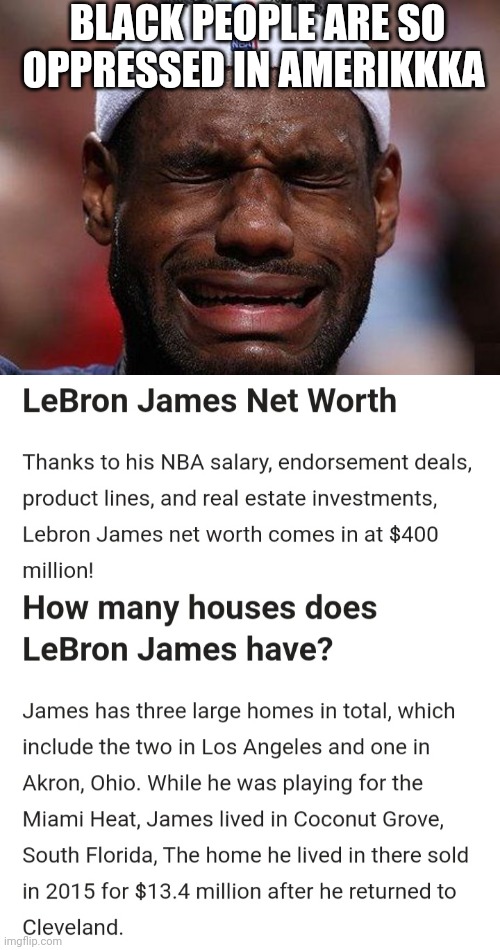 Black people aren't oppressed,  they just figured out it pays to pretend to be a victm | BLACK PEOPLE ARE SO OPPRESSED IN AMERIKKKA | image tagged in blm,lebron james,lebron,liberal logic,white people,fake news | made w/ Imgflip meme maker