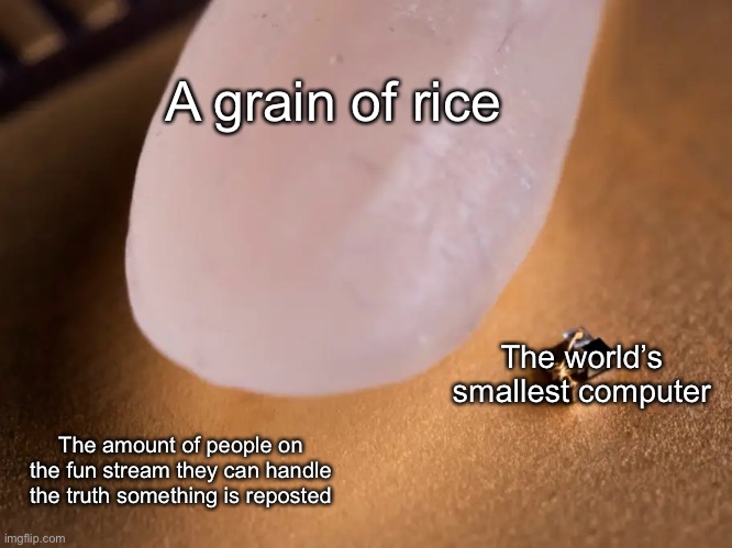 worlds smallest computer | A grain of rice; The world’s smallest computer; The amount of people on the fun stream they can handle the truth something is reposted | image tagged in worlds smallest computer | made w/ Imgflip meme maker
