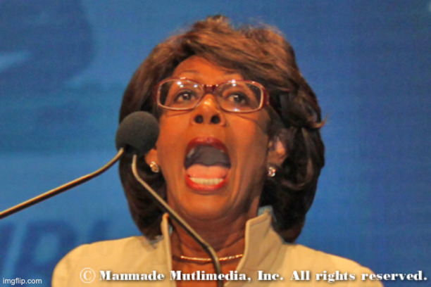 Maxine waters | image tagged in maxine waters | made w/ Imgflip meme maker