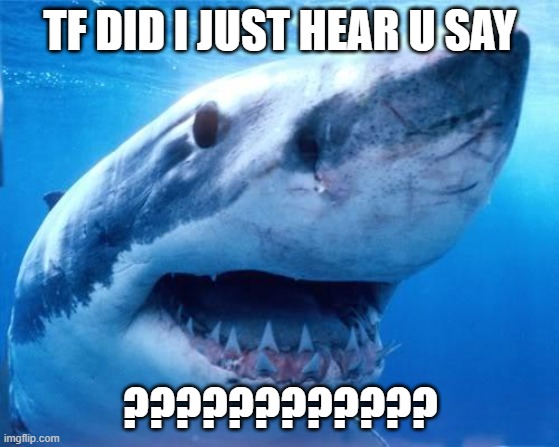 no really what | TF DID I JUST HEAR U SAY; ???????????? | image tagged in animals | made w/ Imgflip meme maker
