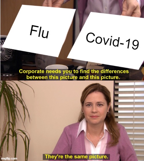 Bru | Flu; Covid-19 | image tagged in memes,they're the same picture | made w/ Imgflip meme maker