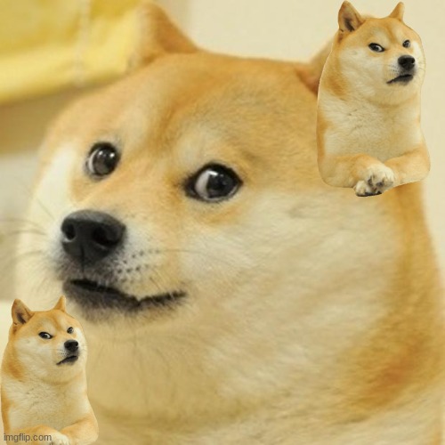 Doge Or Something idk | image tagged in memes,doge | made w/ Imgflip meme maker