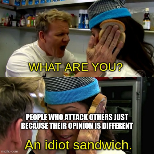 I have loads of unpopular opinions, btw | WHAT ARE YOU? PEOPLE WHO ATTACK OTHERS JUST BECAUSE THEIR OPINION IS DIFFERENT; An idiot sandwich. | image tagged in gordon ramsay idiot sandwich,opinion,memes,unpopular opinion,opinions,gordon ramsay | made w/ Imgflip meme maker