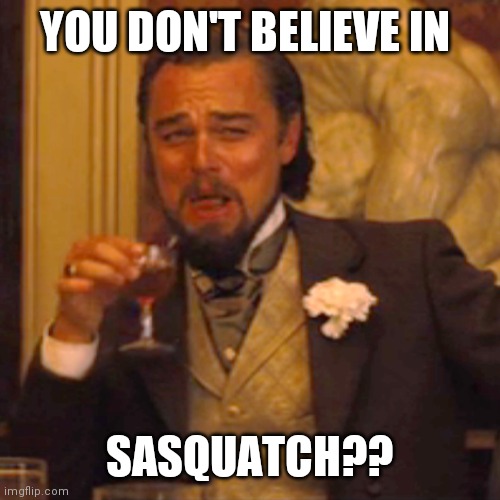 Believe.... | YOU DON'T BELIEVE IN; SASQUATCH?? | image tagged in memes,laughing leo | made w/ Imgflip meme maker