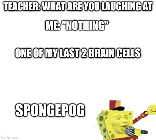 Bored.. | TEACHER: WHAT ARE YOU LAUGHING AT; ME: "NOTHING"; ONE OF MY LAST 2 BRAIN CELLS; SPONGEPOG | image tagged in white | made w/ Imgflip meme maker